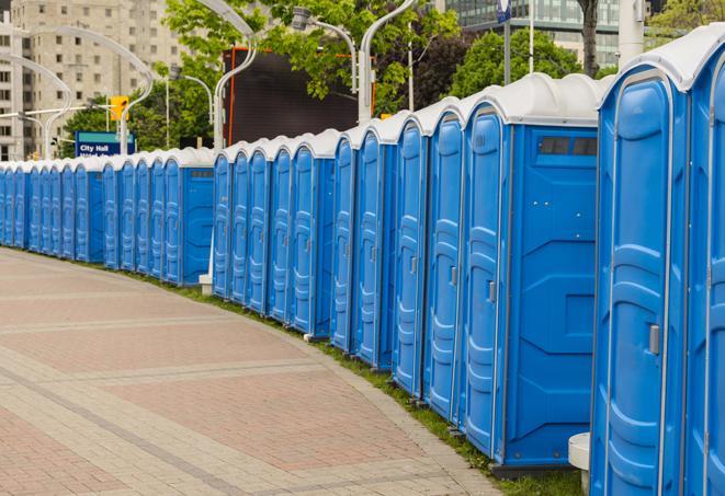 Seasonal porta potty units set up at a Jamaica, New York venue